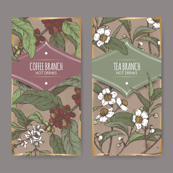 Set aus zwei farbigen Etiketten mit Tee- und Kaffeezweigskizze. Sammlung von Heißgetränken. — Stockvektor