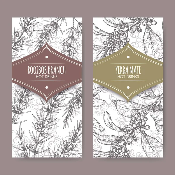 Set of two labels with Rooibos aka Aspalathus linearis and Yerba mate aka Ilex paraguariensis branches. — Stock Vector