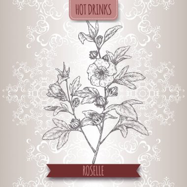 Aka Hibiscus sabdariffa ile yaprak ve çiçekler Roselle. Carcade çay yapmak için kullanılan.
