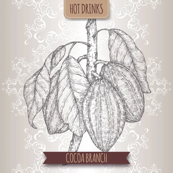 Árbol de cacao también conocido como Theobroma cacao branch sketch with leaves and beans. Colección de bebidas calientes . — Archivo Imágenes Vectoriales