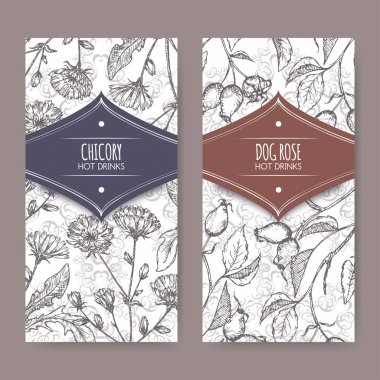 İki etiket Cichorium intybus aka ortak hindiba ve Rosa canina aka köpek rose skeçler.