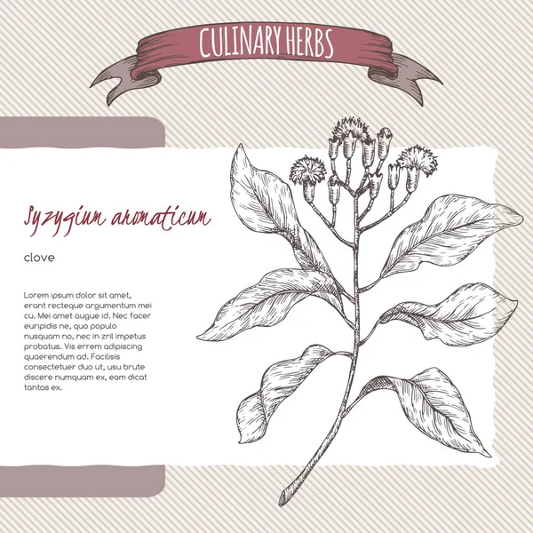 Гвоздики aka Syzygium aromaticum боку звернено ескіз. — стоковий вектор