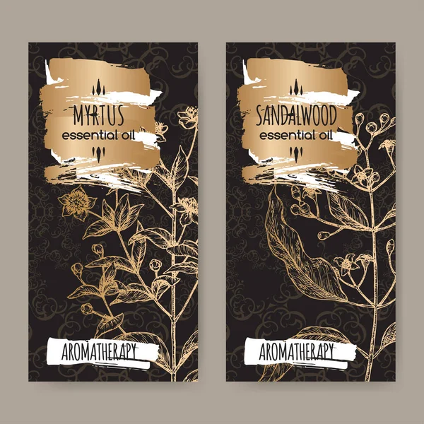 Two labels with Common myrtle aka Myrtus communis and Indian sandalwood aka Santalum album sketch on black background. — ストックベクタ