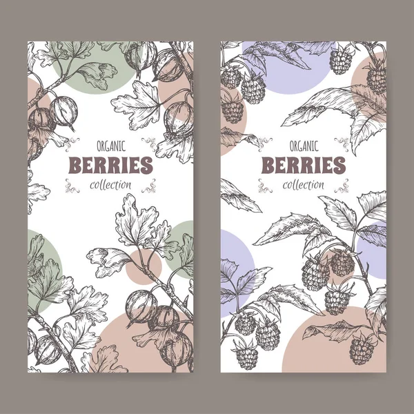 Conjunto de dos lables con frambuesa roja alias Rubus idaeus y grosella también conocida como Ribes uva-crispa sketch. Serie de frutas de bayas . — Vector de stock