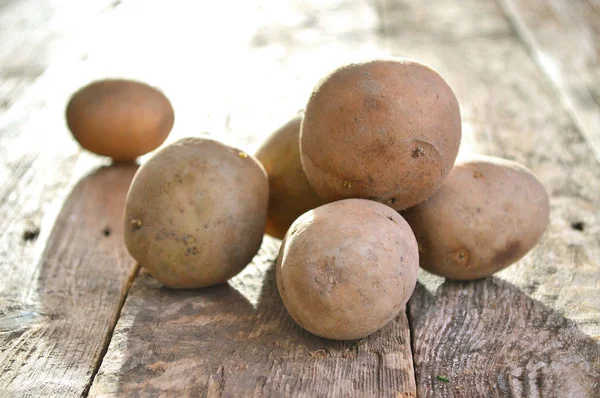 감자 나무 배경 — 스톡 사진