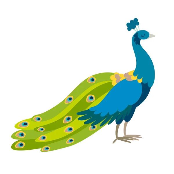 Illustration Vectorielle Paon Drôle Oiseau Paon Couleur Bleue Avec Dessin — Image vectorielle