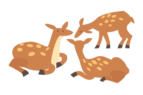 Illustration Vectorielle Des Cerfs Debout Assis Cerfs Dessin Animaux Marron — Image vectorielle