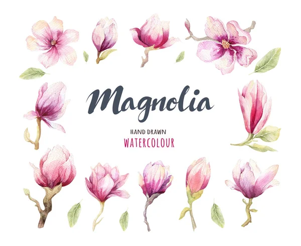 水彩絵画マグノリアの花花壁紙の装飾 — ストック写真