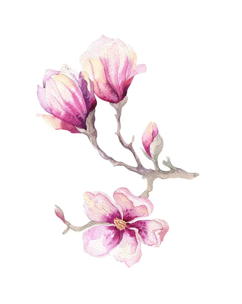 Aquarela Pintura Magnolia flor flor papel de parede decoração — Fotografia de Stock