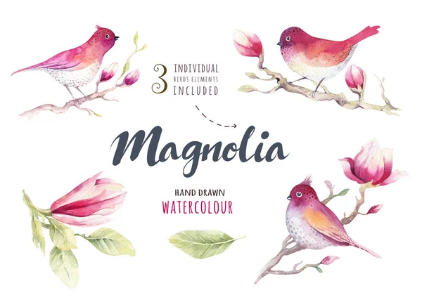 Aquarelle peinture fleur de magnolia et papier peint oiseau d — Photo