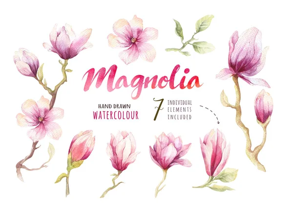 Aquarel schilderij Magnolia bloesem bloem behang-decoratie — Stockfoto