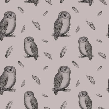 El çekilmiş izole siyah beyaz seamless modeli baykuş sinek kuşu.