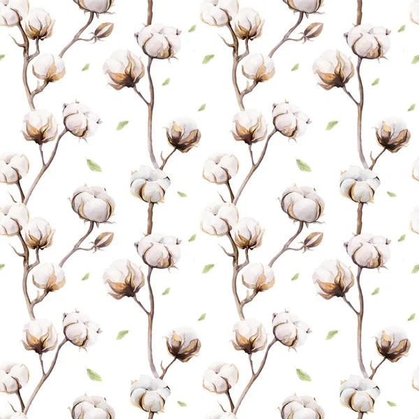 Acuarela fondo vintage con ramitas y flores de algodón boho —  Fotos de Stock