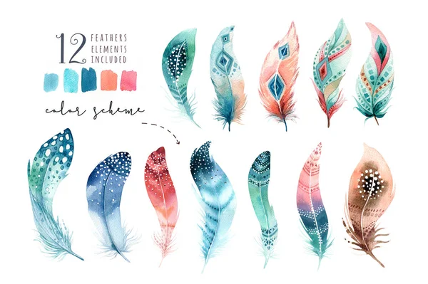 Pinturas de acuarela dibujadas a mano conjunto de plumas vibrantes. Estilo boho —  Fotos de Stock