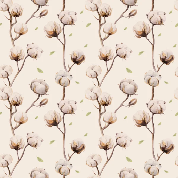 Acuarela fondo vintage con ramitas y flores de algodón boho —  Fotos de Stock