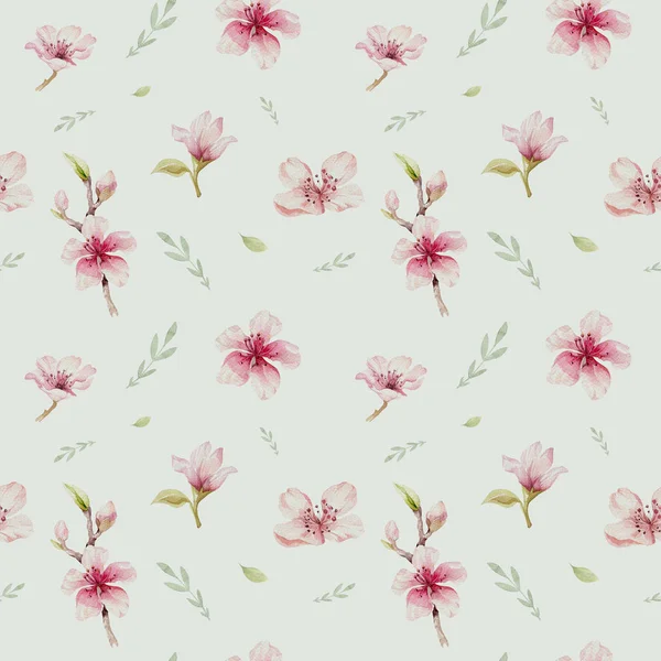 Wallpaper with blossom cherry flowers — Stock Photo, Image