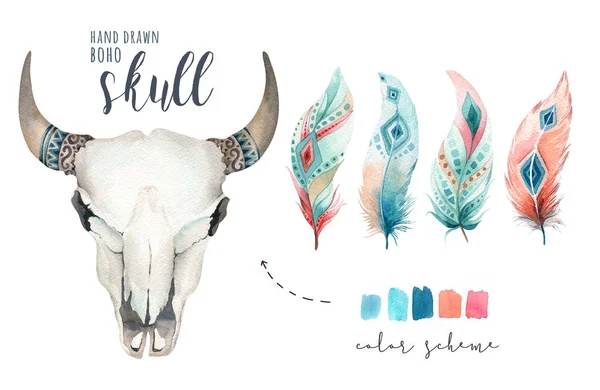 Watercolor bohemian cow skull — Stock Photo, Image