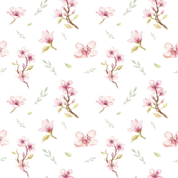 Blossom cherry flowers — Stock Photo, Image