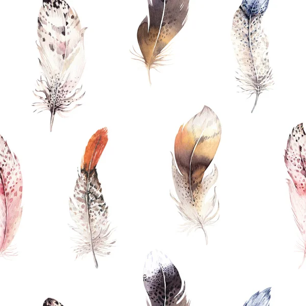 Akvarel přírodní ptáci peří — Stock fotografie