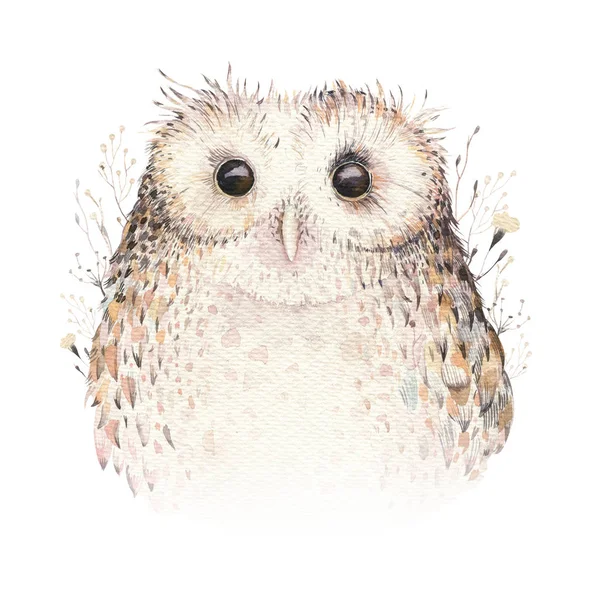 Watercolor cute owl bird — Stock Photo, Image