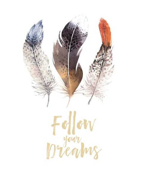 Set of watercolor feathers — Stock Photo, Image