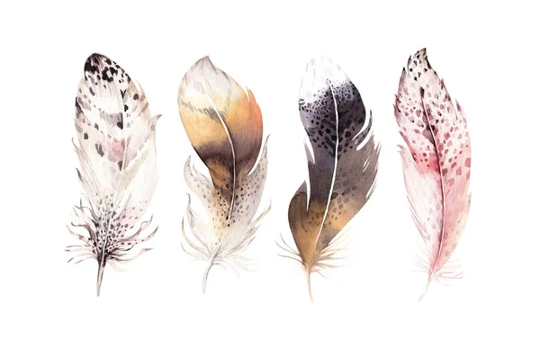 Jeu de plumes aquarelle — Photo