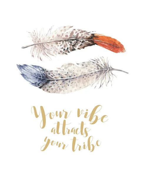 Two watercolor feathers — Stock Photo, Image