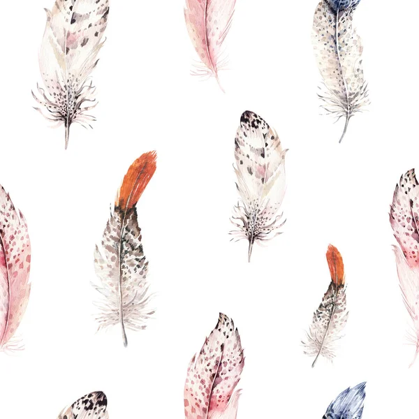 깃털 boho 패턴 — 스톡 사진