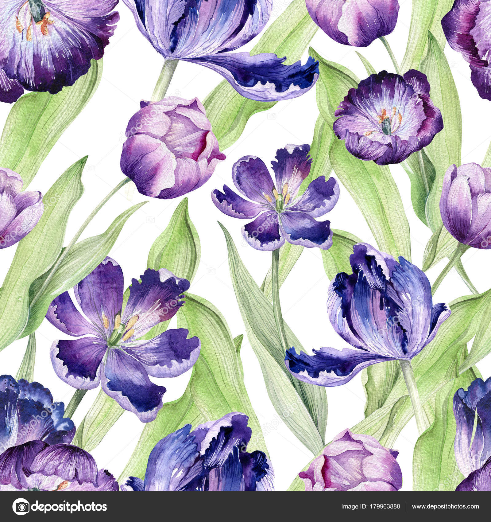 Modello senza cuciture variopinto della sorgente Pianta del tulipano viola di acquerello Fiore viola di disegno — Foto di mykef