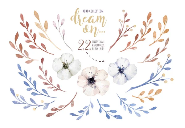 Handbemalte Aquarellblumen Vintage Stil Mit Dem Satz Traum Auf Isoliertem — Stockfoto