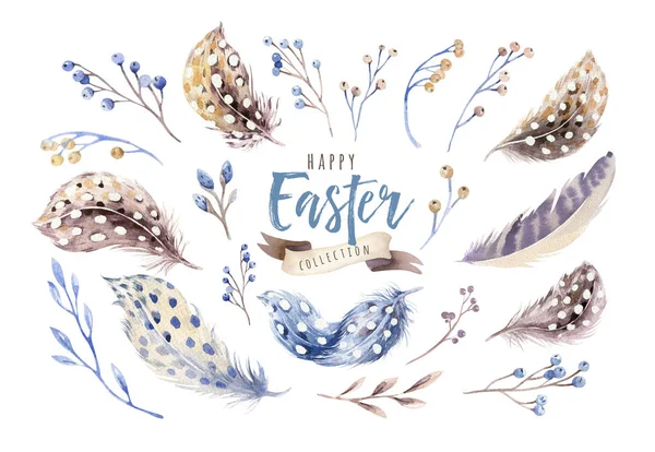 Watercolor Happy Easter Set Bright Feathers Branches — Stock Photo, Image