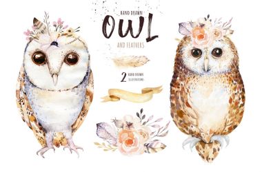 Baykuşlar çiçek ve tüyleri ile