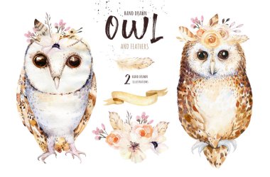 owls with flowers and feathers clipart