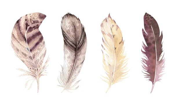 Acuarela dibujada a mano conjunto de plumas vibrante. Estilo boho. ilustración aislada en blanco. Las plumas de la mosca del pájaro diseñan para la invitación, tarjeta de la boda. . —  Fotos de Stock