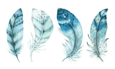 Elle çizilmiş suluboya canlı tüy küme. Boho tarzı. illüstrasyon izole beyaz. Kuş uçmak tüyler kartı düğün davetiyesi için tasarım. Rustik tüyleri parlak renkler.