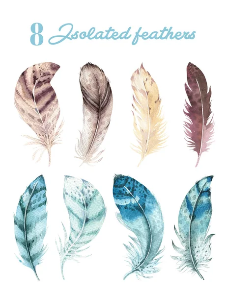 Hand drawn watercolor vibrant feather set. Boho style. illustration isolated on white. Bird fly feathers design for invitation, wedding card.Rustic feathers Bright colors.