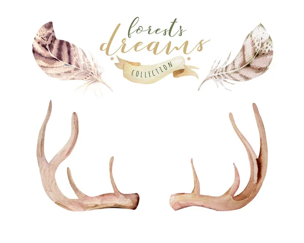 Set of watercolor floral boho antler print. western bohemian decoration. Hand drawn vintage deer horns with flowers, leaves and herbs. Eco style hipster illustration on white. — Stock Photo, Image