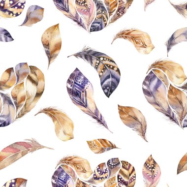 Boho Dikişsiz suluboya desen tüyler ve vahşi çiçekler, yapraklar, dallar çiçek, illüstrasyon, sevgi ve tüyler, bohem dekorasyon bahar çiçeği, Sevgililer günü