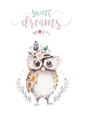 Şirin bohem bebek baykuş hayvan için anaokulu, ormanlık kreş çocuk orman hayvan deseni için dekorasyon orman baykuşlar illüstrasyon izole. Suluboya elle çizilmiş boho seti