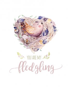 suluboya karikatür kuş yuvada, benim fledgeling metin olduğunu