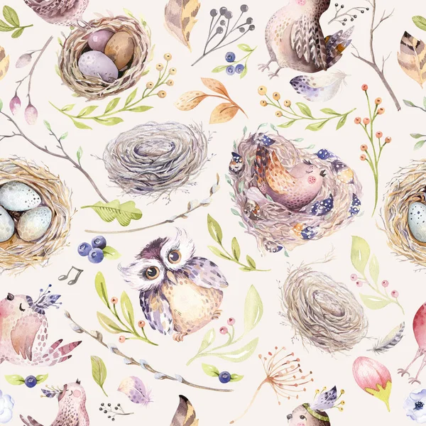 Akvarell våren rustika mönster med nest, fåglar, gren, träd kvistar och fjäder. Akvarell sömlös handen ritade fågel bakgrund. Vintage, boho illustration — Stockfoto