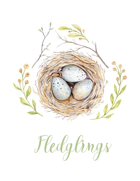 Рука намальована акварельне пташине гніздо з яйцями, великодній дизайн . — стокове фото