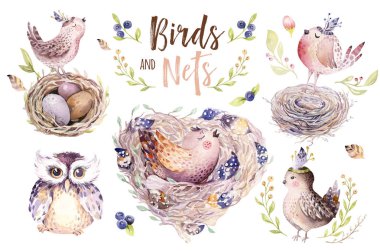 El çizim Paskalya suluboya uçan karikatür kuş ve yumurta yaprak, dal ve tüyleri ile. Suluboya bahar sanat illüstrasyon vintage boho tarzı. Bohem tebrik kartı