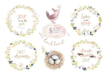 El çizim Paskalya suluboya uçan karikatür kuş ve yumurta yaprak, dal ve tüyleri ile. Suluboya bahar sanat illüstrasyon vintage boho tarzı. Bohem tebrik kartı