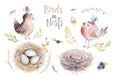 El çizim Paskalya suluboya uçan karikatür kuş ve yumurta yaprak, dal ve tüyleri ile. Tasarım öğeleri 