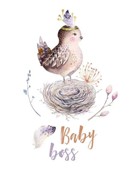 Aquarela Desenho Animado Pássaro Ninho Texto Chefe Bebê — Fotografia de Stock