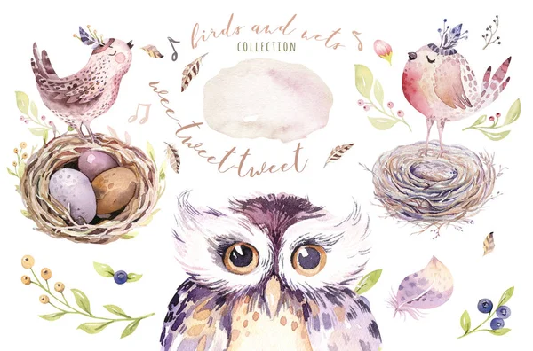 El çizim Paskalya suluboya uçan karikatür kuş ve yumurta yaprak, dal ve tüyleri ile. Suluboya bahar sanat illüstrasyon vintage boho tarzı. Bohem tebrik kartı