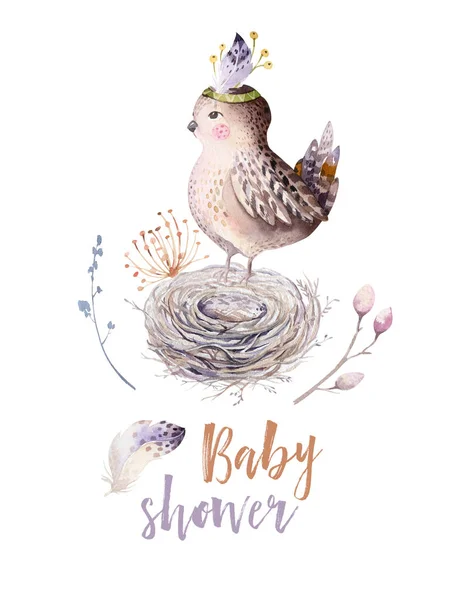 Watercolor Pássaro Dos Desenhos Animados Ninho Texto Chuveiro Bebê — Fotografia de Stock
