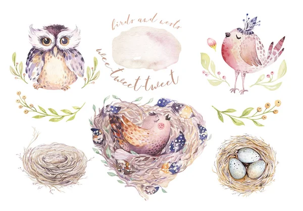 Húsvéti akvarell repülő madár rajzfilm és tojás, levelek, ágak és toll kézzel. Akvarell illusztráció tavaszi vintage boho stílusban. Bohém üdvözlőlap — Stock Fotó