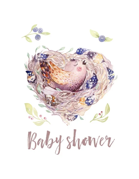 Akvarelu Kreslený Pták Hnízdě Baby Sprcha Text — Stock fotografie
